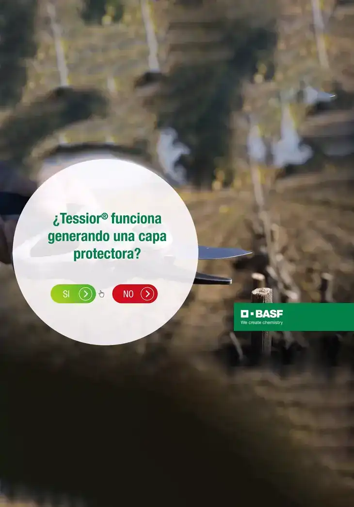 BASF